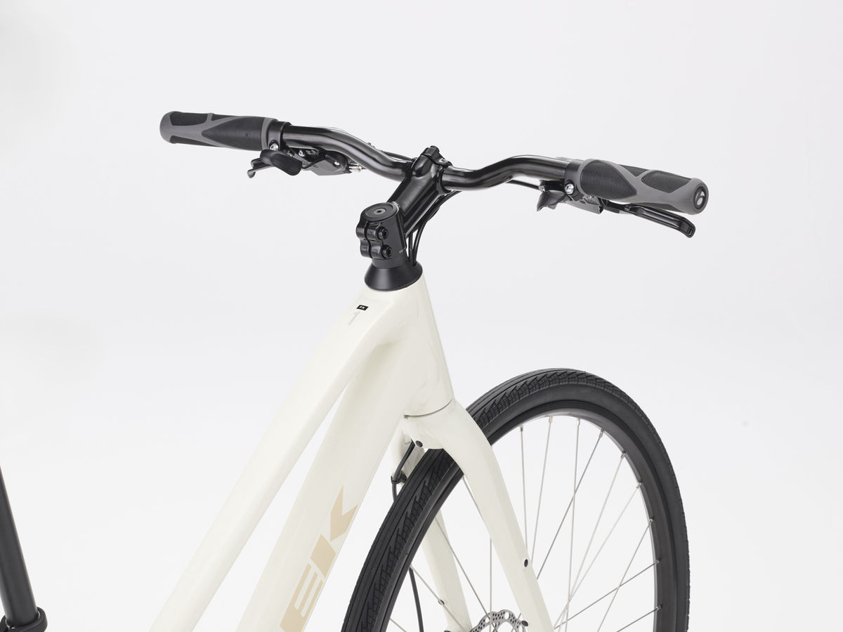 Trek FX 1